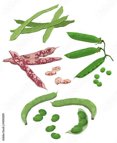 Beans