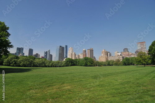 Early summer in the Central Park.