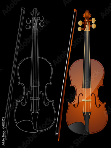 Violin