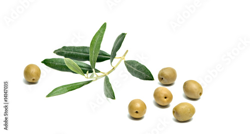 Olive fruits and twig