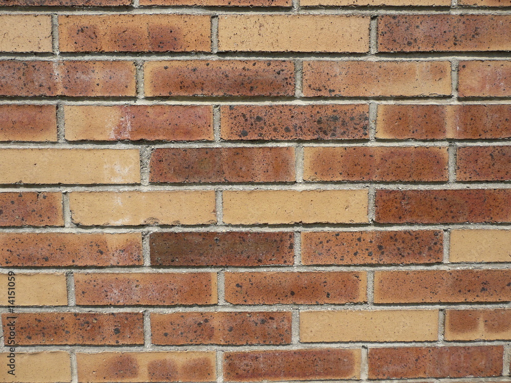 Fototapeta premium Mur de briques