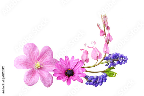 Fototapeta Naklejka Na Ścianę i Meble -  Mixed Flowers