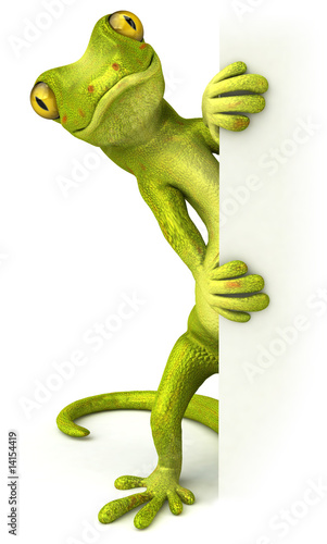 Gecko avec un panneau blanc