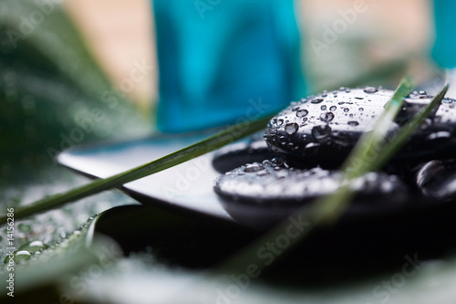 Photography Massage stones