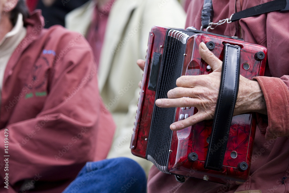 Joueur d'accordéon diatonique