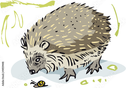 Igel