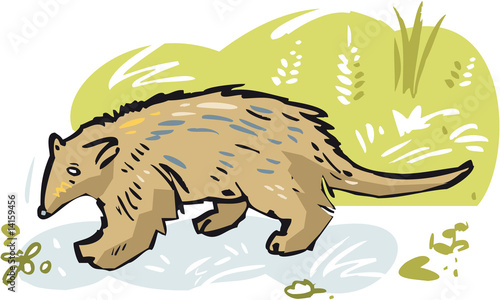Opossum