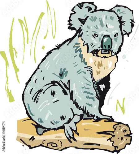 Koala