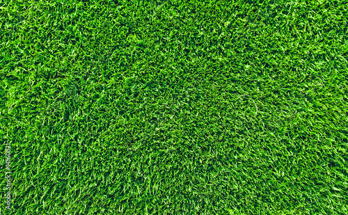 fresh lawn grass