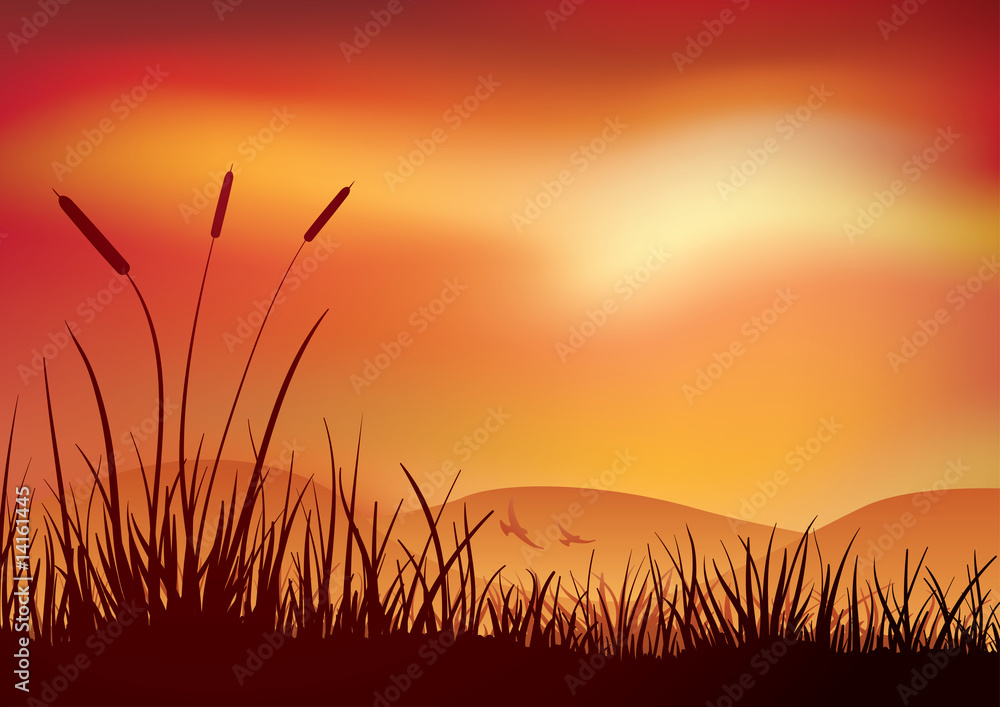 Marshland sunset.