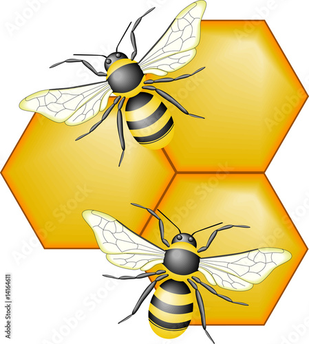 Bees on Honeycomb