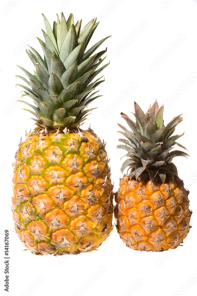 Fresh pineaples isolated on white Fresh pineaples isolated on white