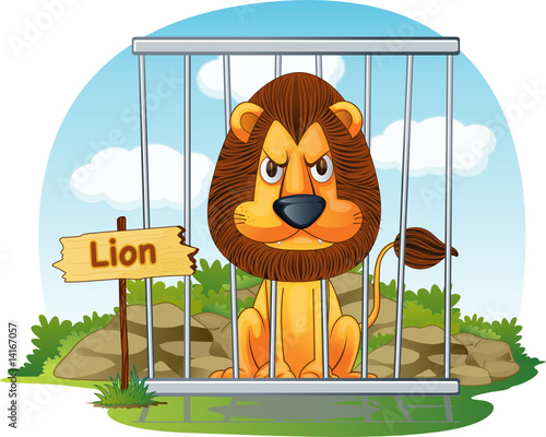 lion