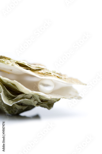 Auster mit Perle, Freisteller, Detail