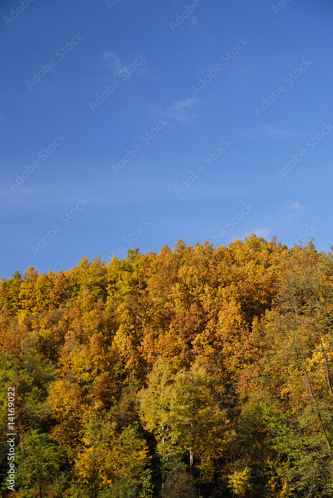 Colors of Autumn Colors of Autumn