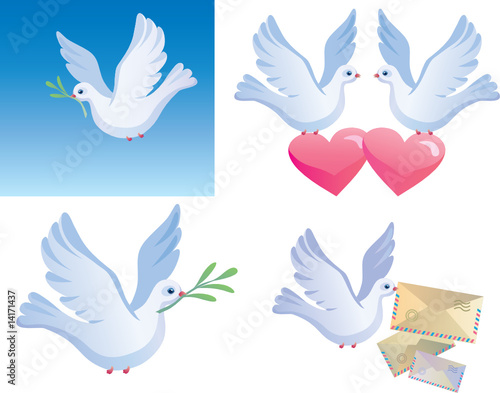 Pigeon -  symbol of the peace, love, carrier pigeon
