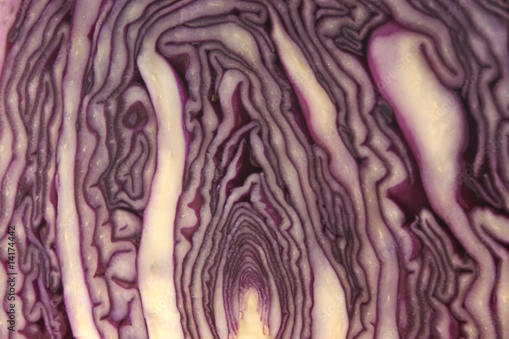 Obraz premium frischer Rotkohl als Gemüse