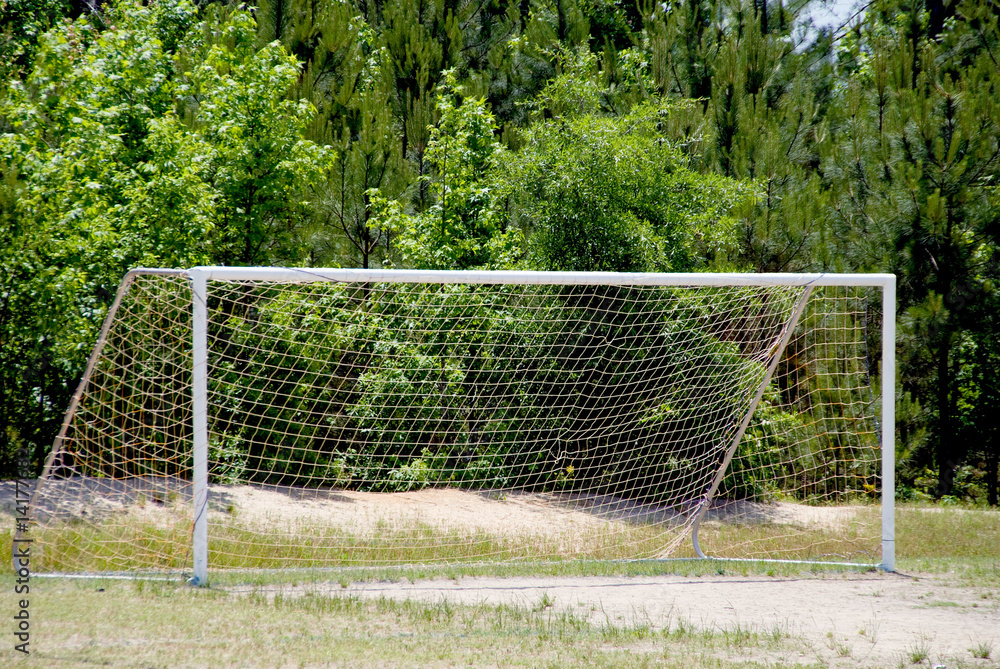 Fototapeta premium Soccer Goal