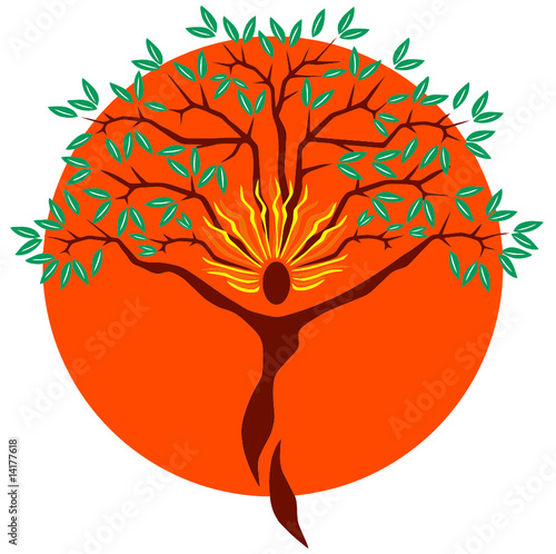 Arbre Réflexologie