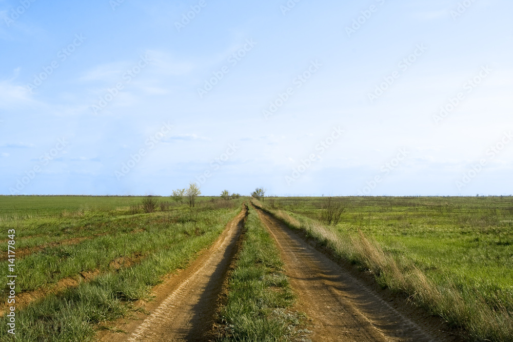 Desert road to horizon and deep blue sky