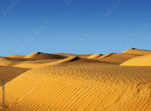 Fototapeta Naklejka Na Ścianę i Meble -  deserto