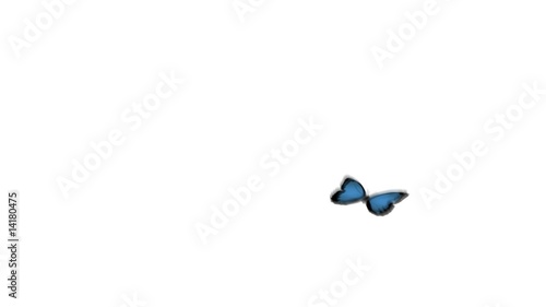 blue butterfly with alpha channel
