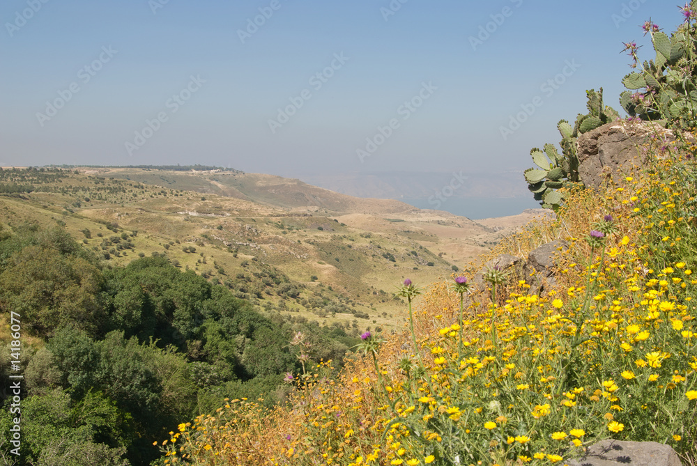 Golan heights and view over the Sea of Galillee