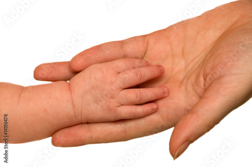 isolated baby and mother hands