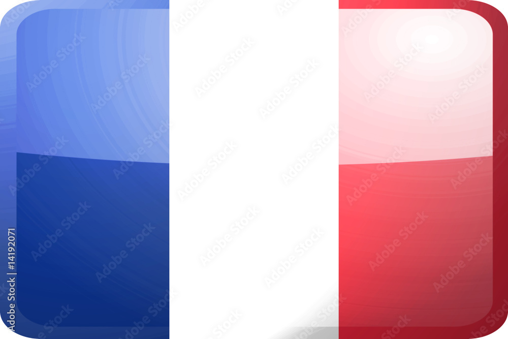 Flag of France button