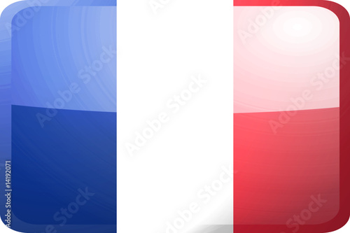Flag of France button © Kheng Guan Toh