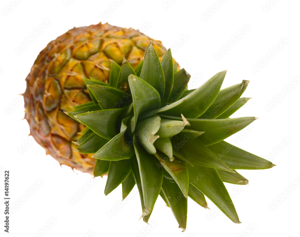 pineapple on white background with clipping path pineapple on white background with clipping path