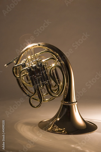 French Horn On Gold