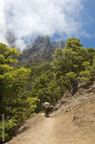 La Palma, Caldera de taburiente