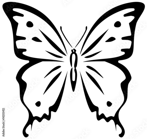 Butterfly (stencil)