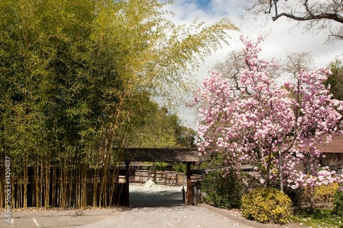 Hakone Gardens photo