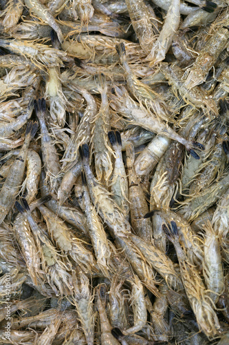 CREVETTES GRISES- - - Marché