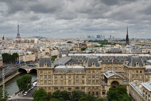 Paris view from Notre Dame © peresanz