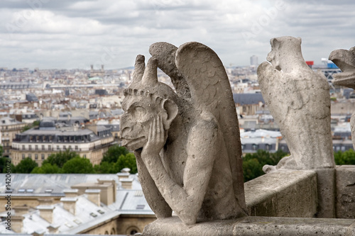 Paris Gargoyle in Notre Dame Paris © peresanz