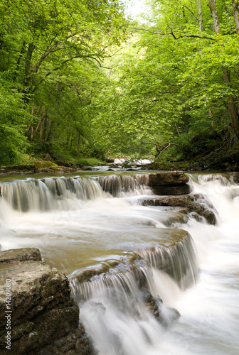 Fluss im Wald (Schlichemklamm) | hochformat