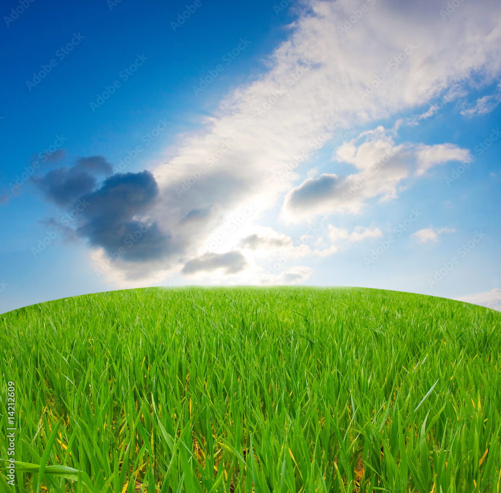 Obraz premium Green field and white clouds