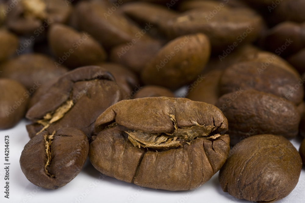 all sorts of coffee of grains all sorts of coffee of grains