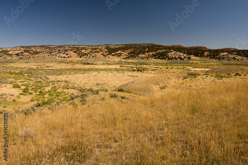Desert