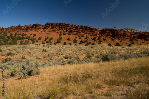 Desert