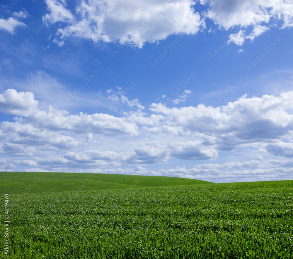 landscape landscape