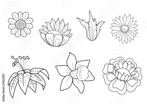Blumen und Florales Design