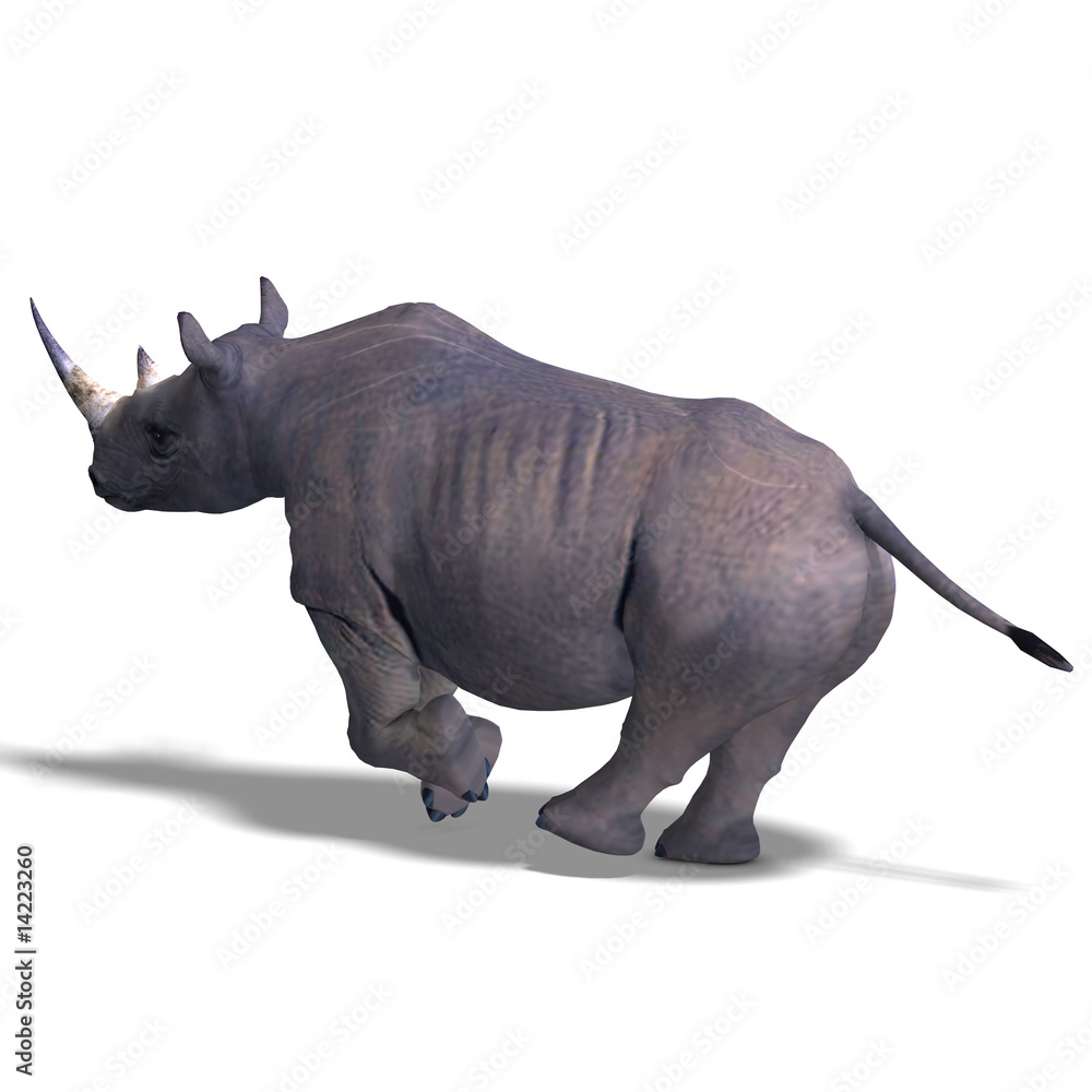 Obraz premium Rhinoceros Rendering
