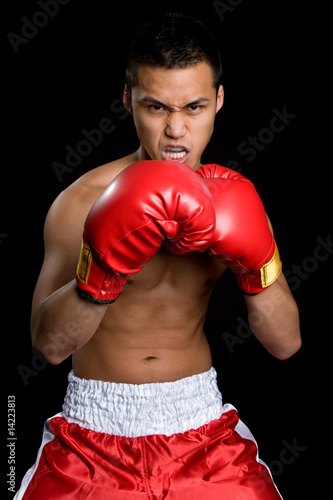 Asian Male Boxer