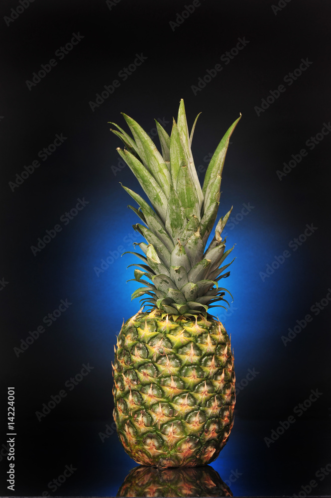 Pineapple Pineapple