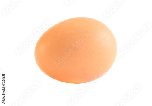 Egg