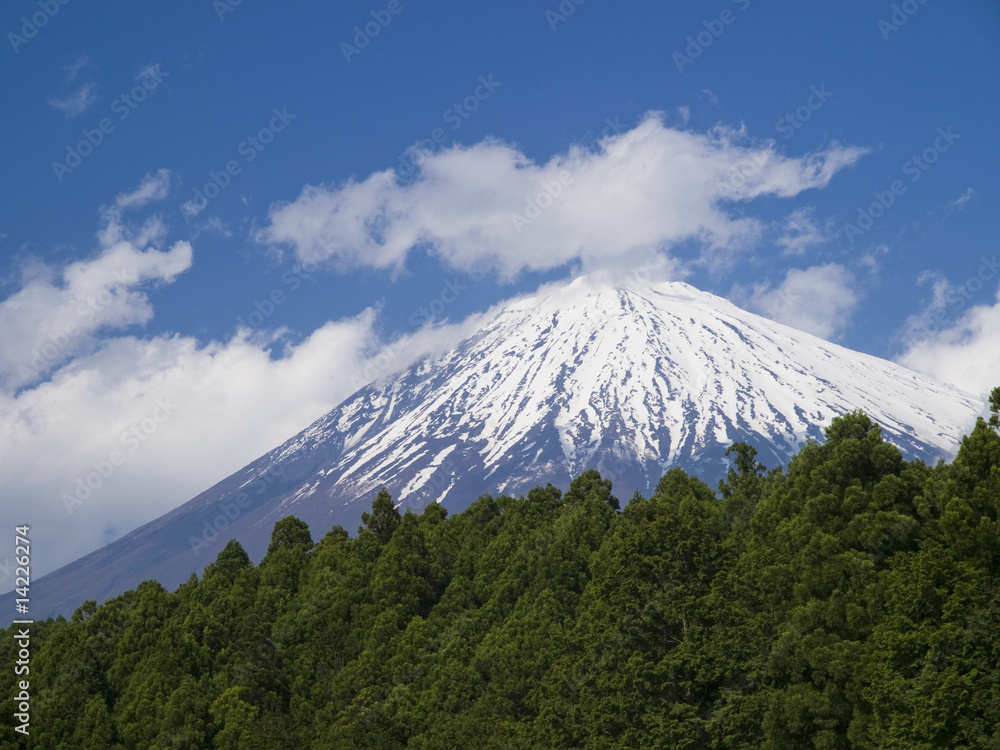 富士山と森林